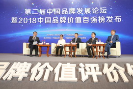 第二届中国品牌发展论坛