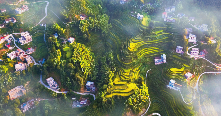 生态于都特色农业百花齐放