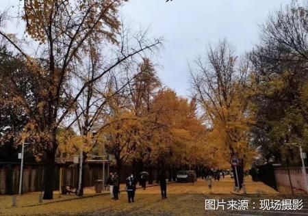 图片来源：现场摄影