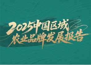 发展报告