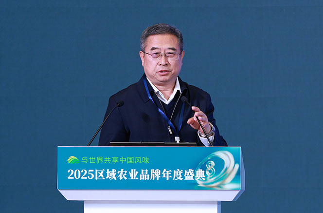 姚坤:为地标产品注入“文化芯片”